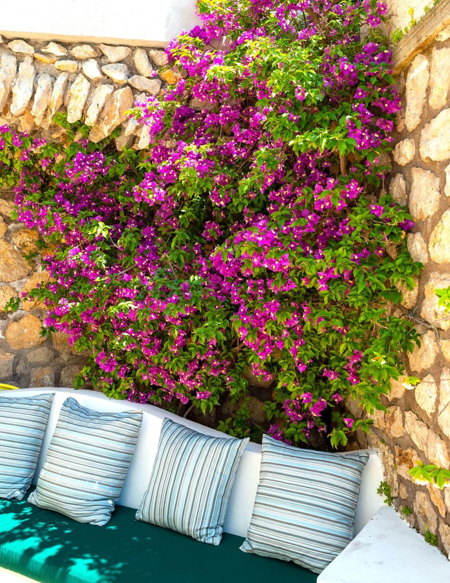 Hotel La Floridiana Capri Esterno foto
